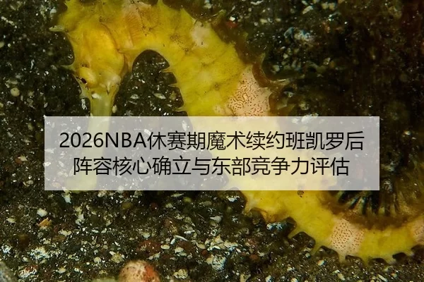 2026NBA休赛期魔术续约班凯罗后阵容核心确立与东部竞争力评估